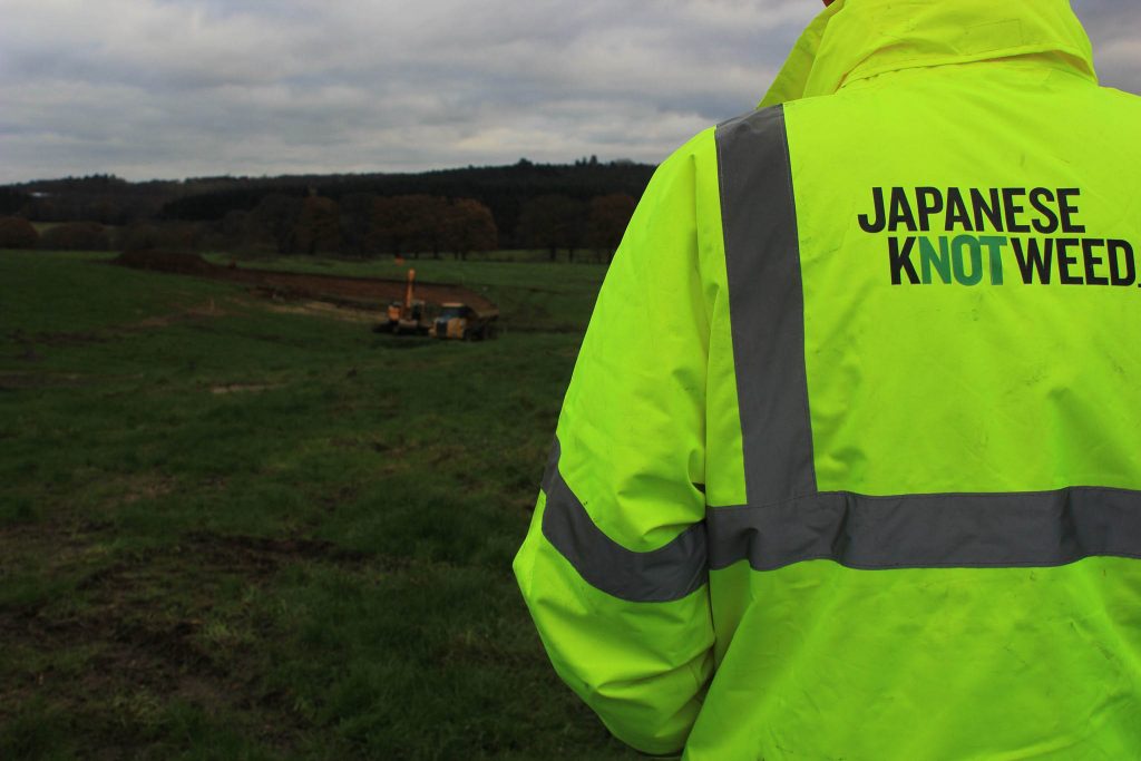 Japanese Knotweed and forms2 Remote Workers